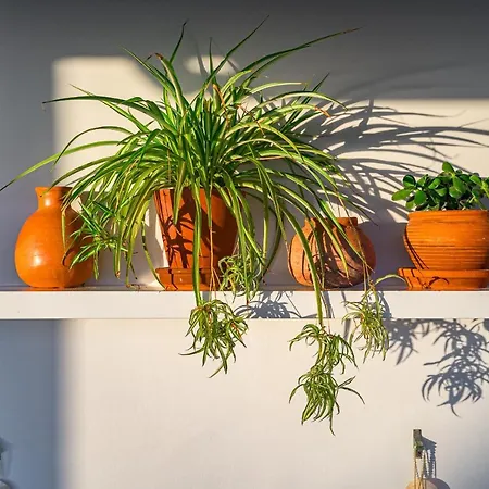 Charming With Private And Heated Pool Costa Adeje (Tenerife)