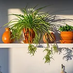 Charming With Private And Heated Pool Costa Adeje (Tenerife)